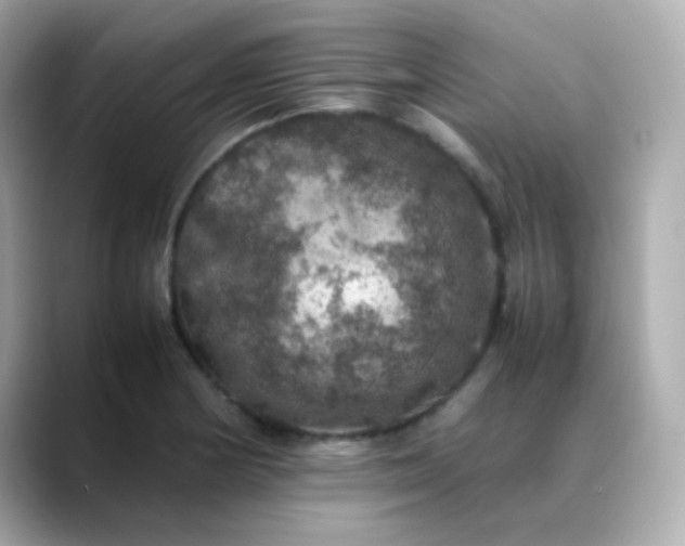 X0000088401178200706051130