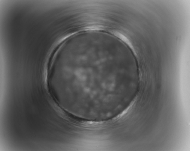 X0000088401179200706051130