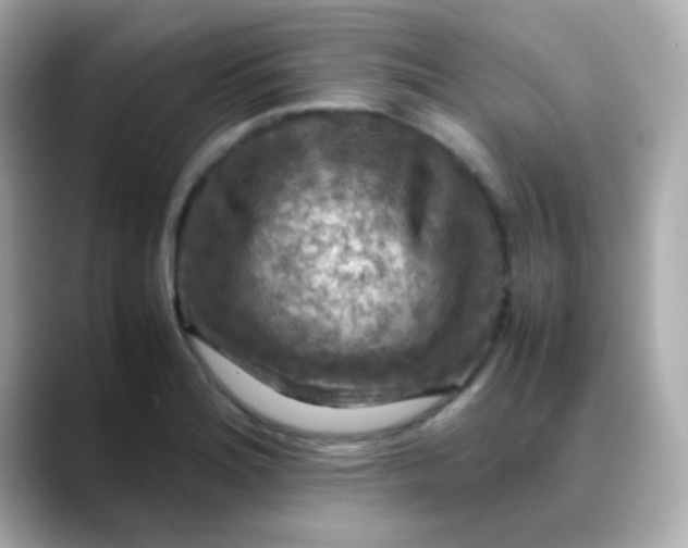 X0000088401180200706051130