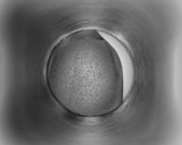 X0000088401181200706051130