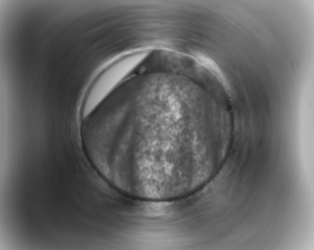 X0000088401184200706051130