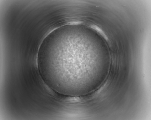 X0000088401186200706051130