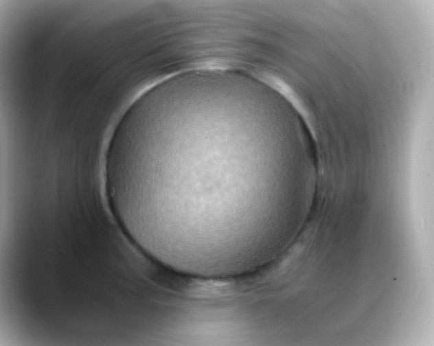 X0000088401187200706051130