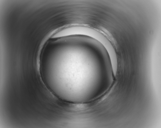 X0000088401188200706051130