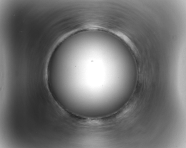 X0000088401191200706051130