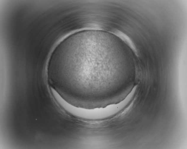 X0000088401192200706051130