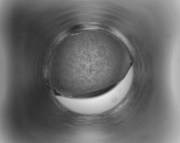 X0000088401193200706051130