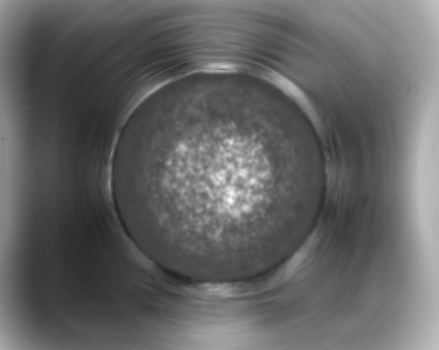 X0000088401194200706051130