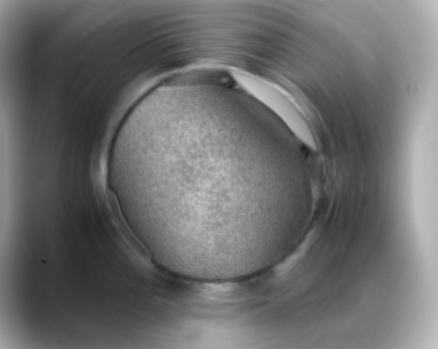 X0000088401196200706051130