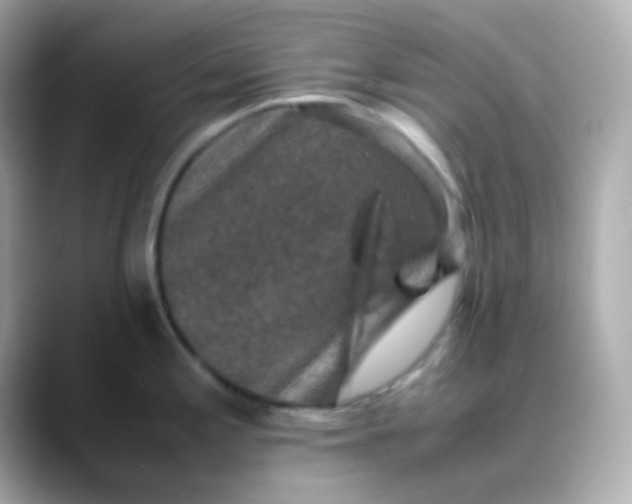 X0000088401197200706051130