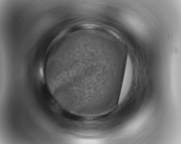 X0000088401198200706051130