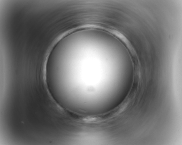 X0000088401199200706051130