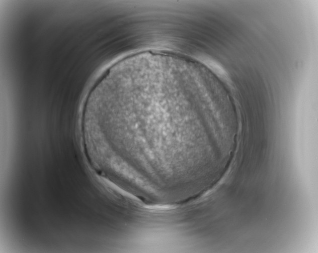 X0000088401200200706051130