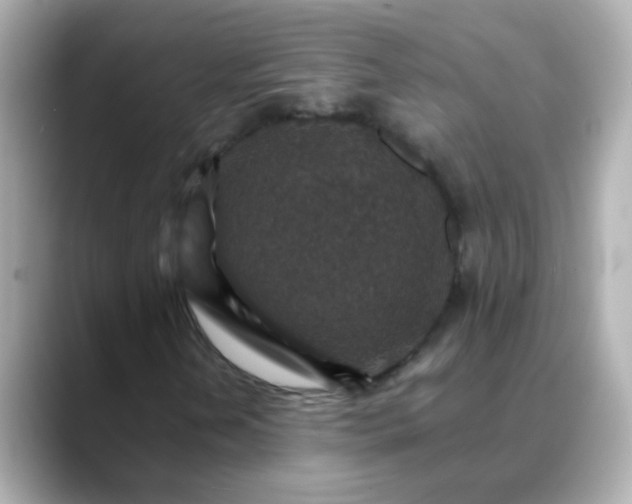 X0000088401202200706051129