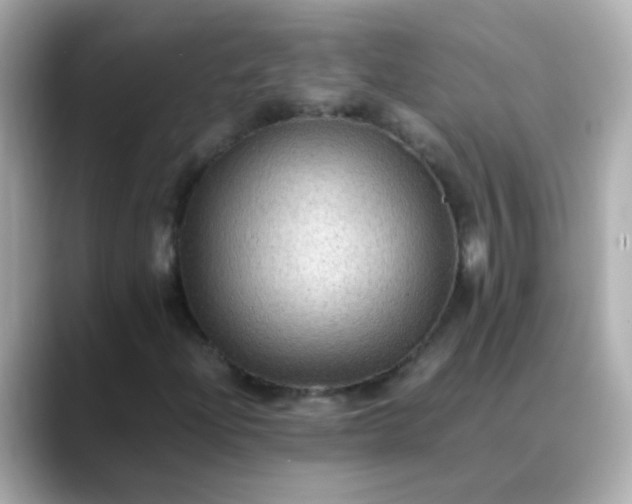 X0000088401204200706051129