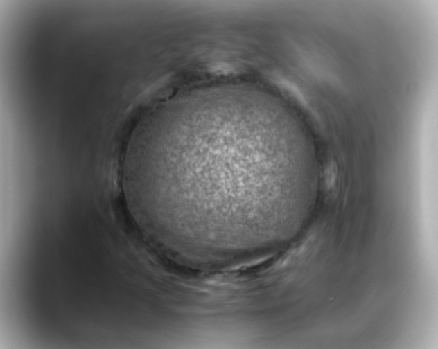 X0000088401205200706051129