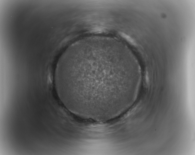 X0000088401206200706051129