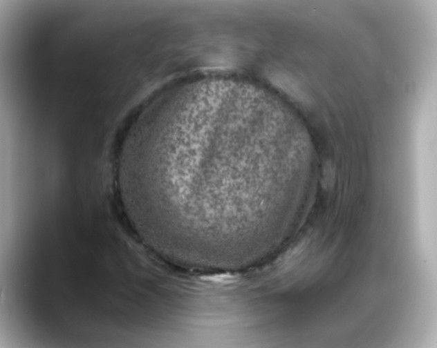 X0000088401208200706051130