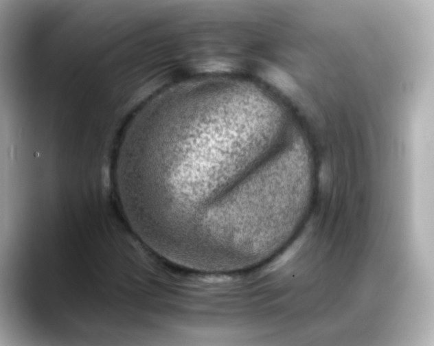 X0000088401209200706051130