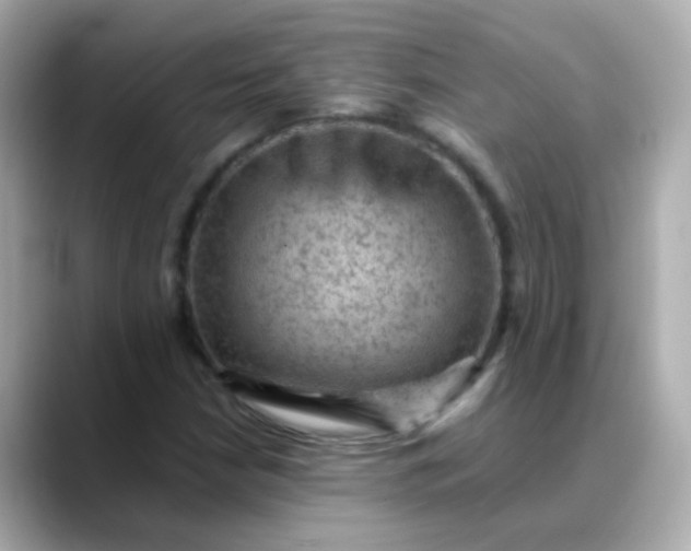 X0000088401210200706051130