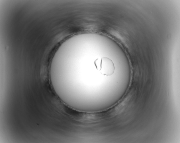 X0000088401211200706051130