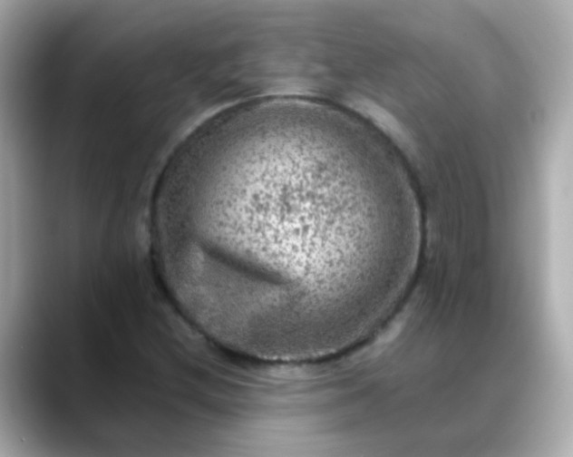 X0000088401212200706051130