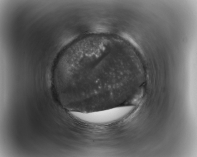 X0000088401213200706051130