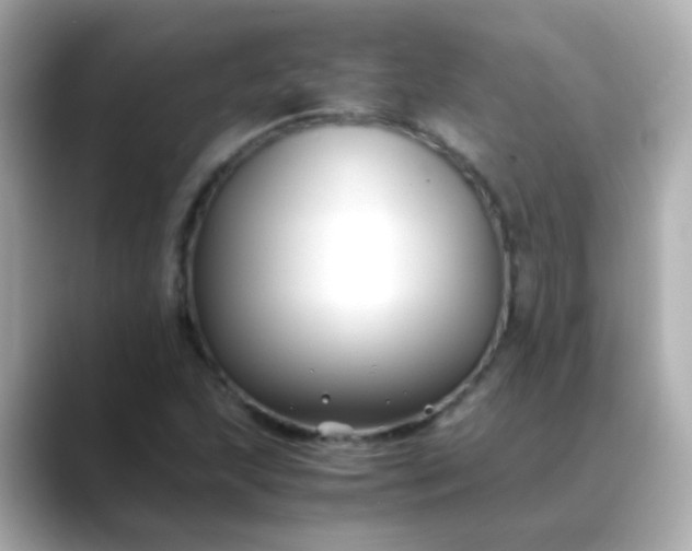 X0000088401215200706051130