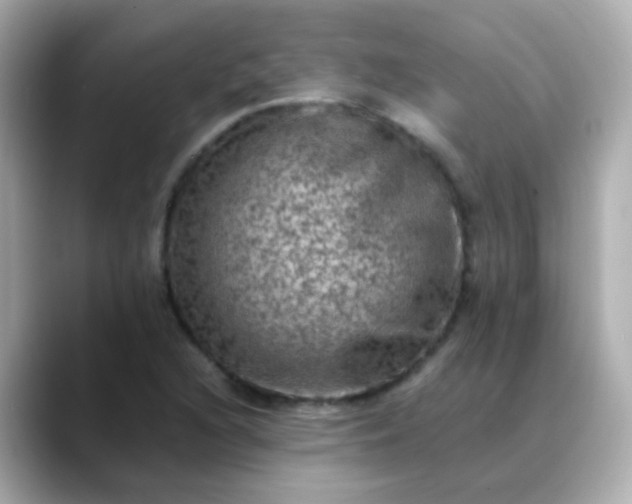 X0000088401216200706051130