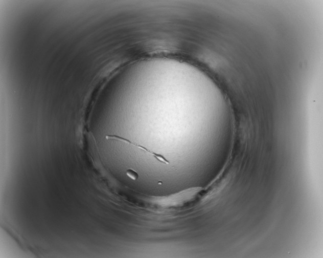 X0000088401217200706051130