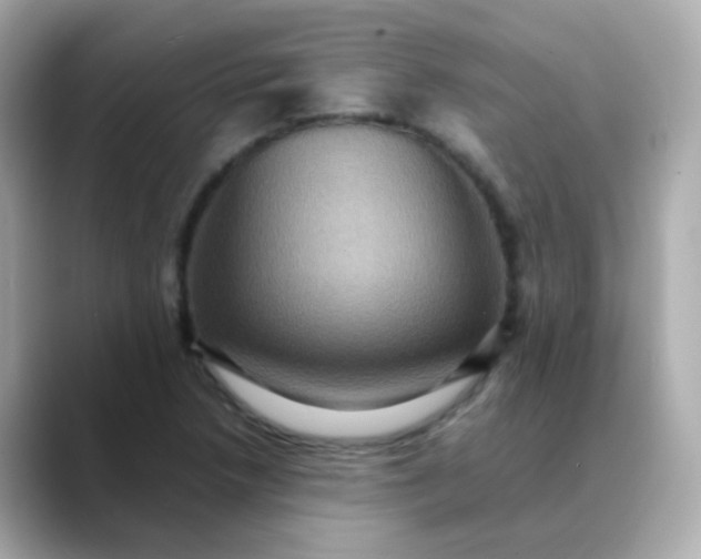 X0000088401218200706051130