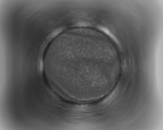 X0000088401221200706051130