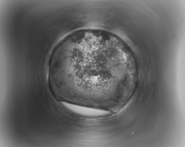 X0000088401224200706051130