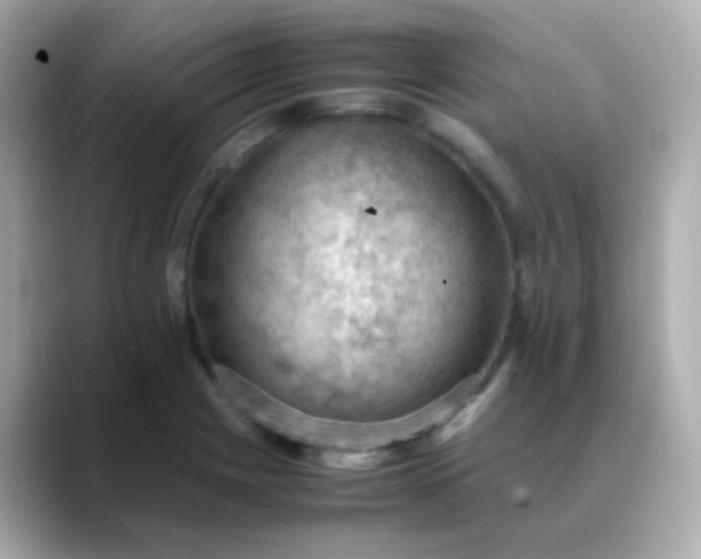 X0000088401225200706051130