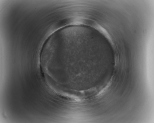 X0000088401226200706051130