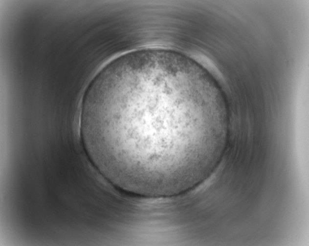 X0000088401228200706051130