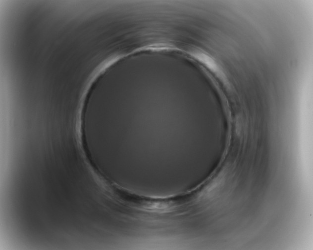 X0000088401229200706051130