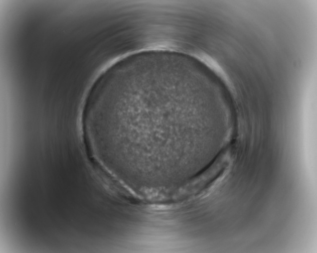 X0000088401230200706051130