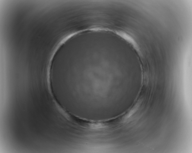 X0000088401231200706051130