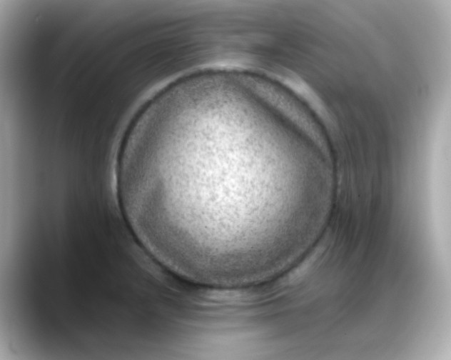 X0000088401232200706051130