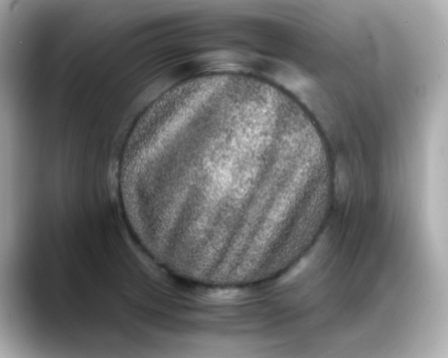 X0000088401233200706051130