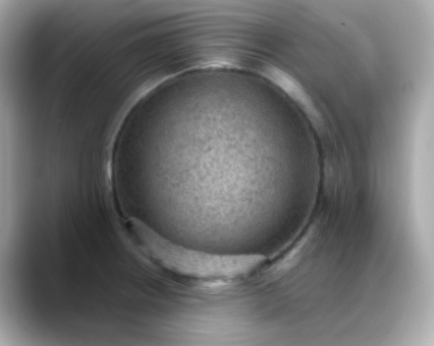 X0000088401234200706051130