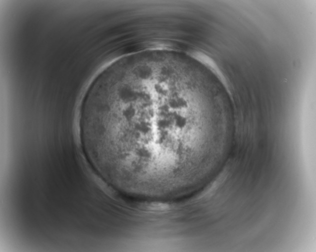 X0000088401235200706051130