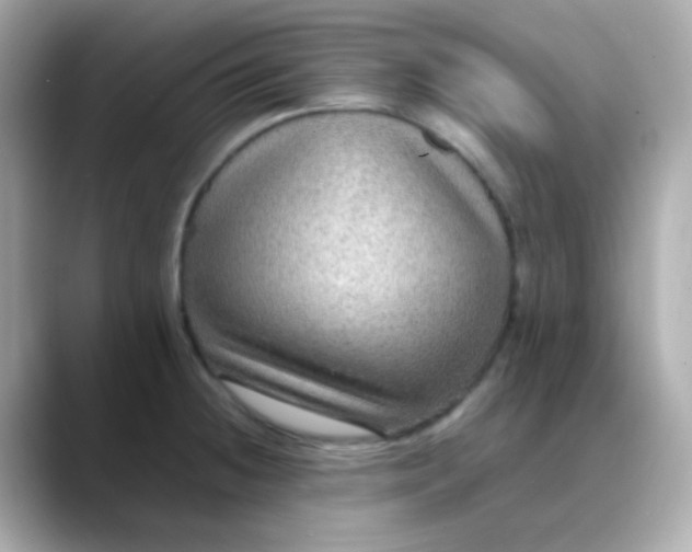 X0000088401236200706051130