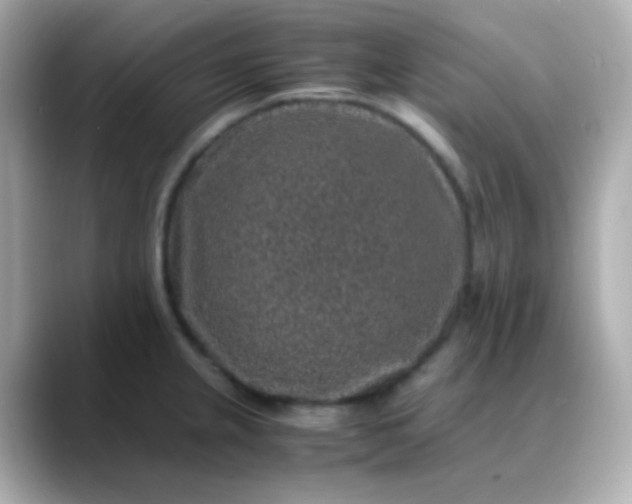 X0000088401237200706051130