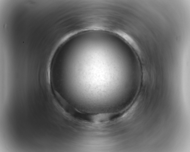 X0000088401238200706051130