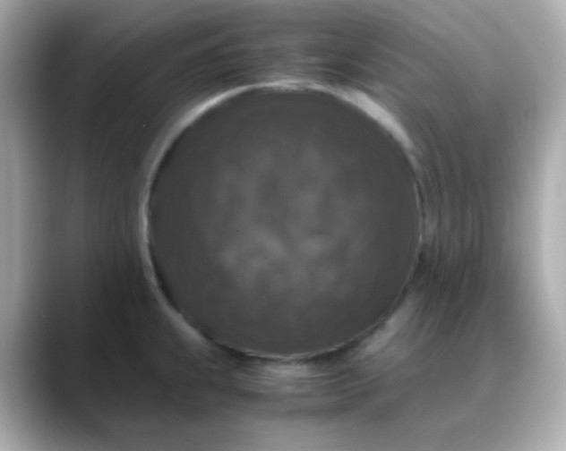 X0000088401239200706051130