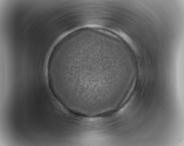 X0000088401240200706051130