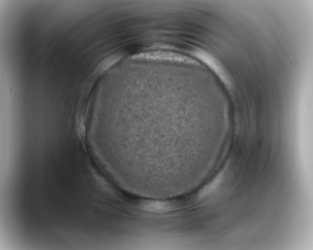 X0000088401241200706051130