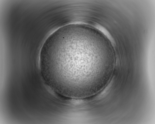 X0000088401242200706051130